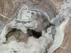 Crystal Filled Dugway Geode (Polished Half) #38863-1